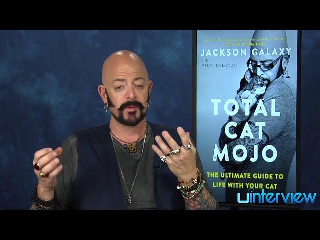 Jackson Galaxy On 'Total Cat Mojo,' Cat Training Tips