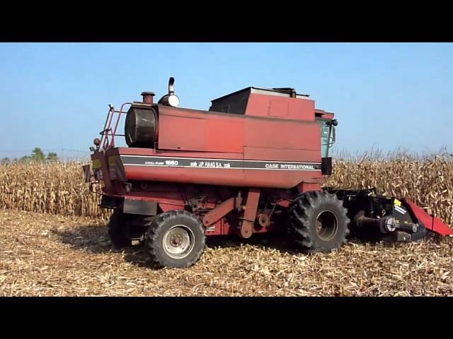 Corn harvest with Case IH 1660 axial flow