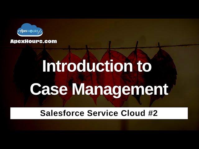 Introduction to Case Management | EP 2