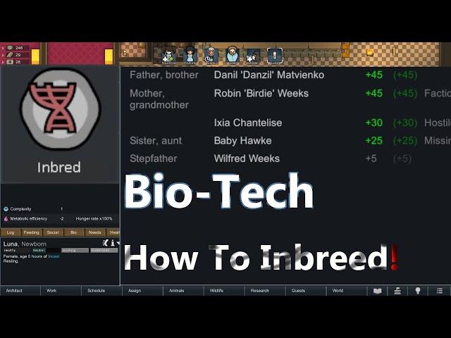 Rimworld: How To Inbreed! ( BioTech ) No mods