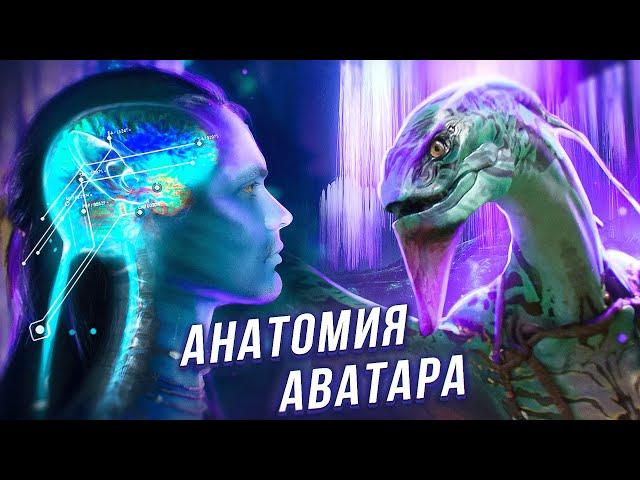 Аватар: Биология местной флоры и фауны | На'Ви, Пандора, Дыхало, Пролемуры