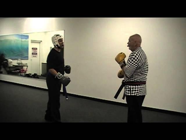 David Hays Jeff Sanuik Sparring drills