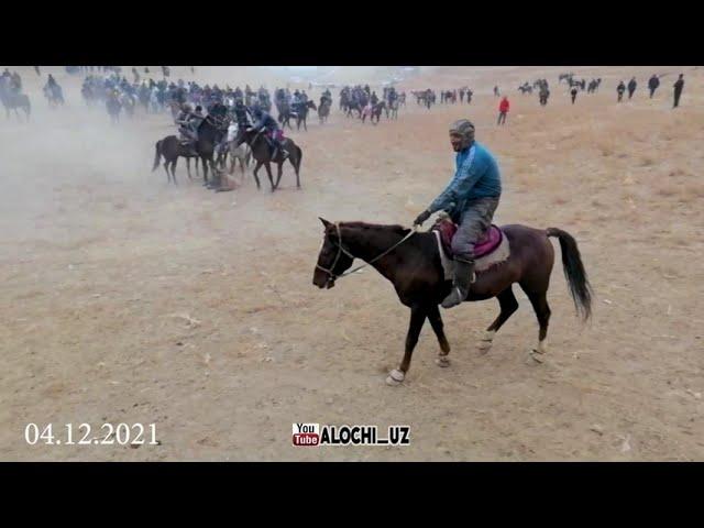 Ko'pkari  Shahrisabz tuman Meraki  horse makeover  equsterian | horseshow alochi.uz