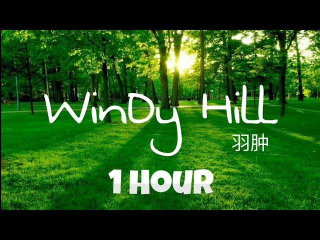 WINDY HILL || NHẠC THU HÚT TIỀN BẠC THỊNH VƯỢNG GIÀU CÓ VÀ THÀNH CÔNG