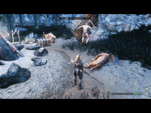 Skyrim: Witcher Dodge Replacer for TK Dodge