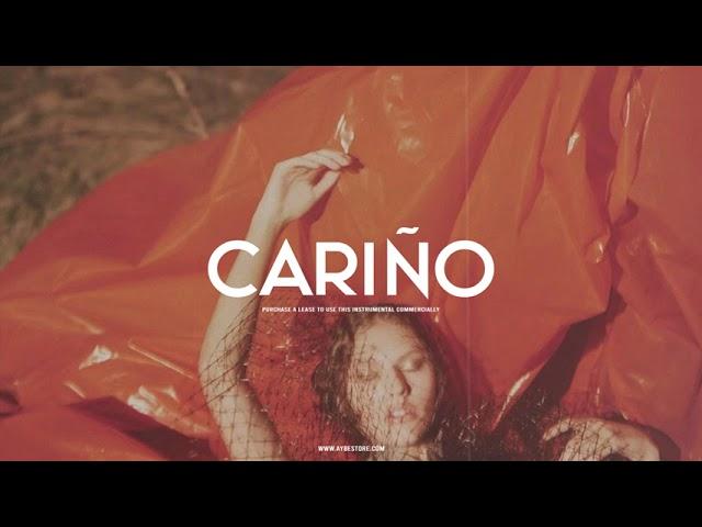 Rosalia x J Balvin Type Beat - "CARIÑO" | Dancehall Type Beat 2023