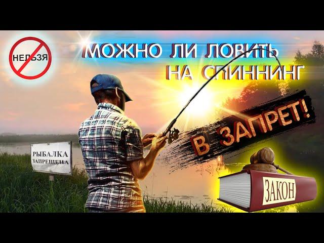 Можно ли ловить на СПИННИНГ в ЗАПРЕТ? Ответ РОСРЫБОЛОВСТВА вас удивит! Нерестовый запрет