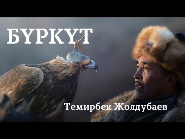 Темирбек Жолдубаев | Бүркүт | аудио китеп | аңгеме