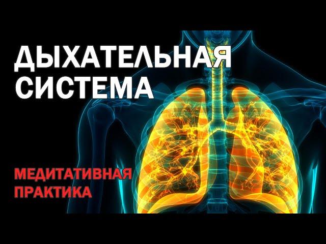 ЧИСТКА И ИСЦЕЛЕНИЕ ЛЁГКИХ и БРОНХОВ ● Медитативная Практика Оздоровления