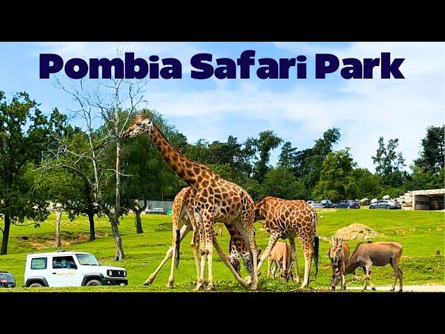 4K | Pombia Safari Park Vlog ( ZOO ) Lago Maggiore , Novara , Italy