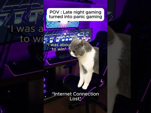 Cat memes  Late night gaming turned into panic gaming #catmeme #relatable#cat#catshorts#shortsfeed