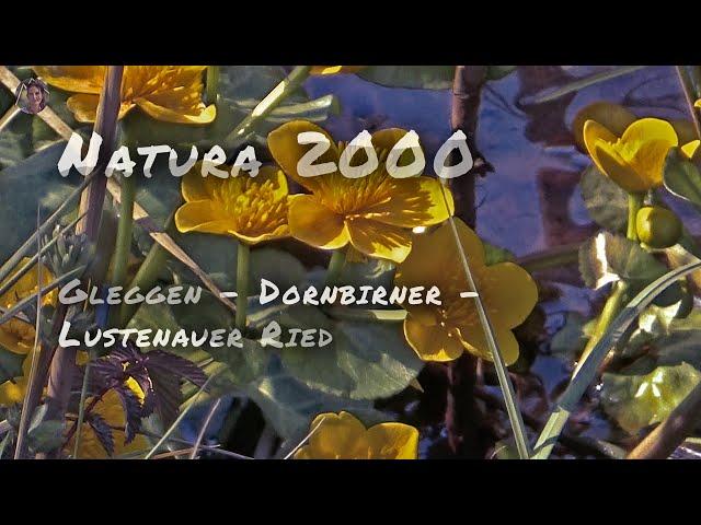 Natura 2000 - Wasser, Fauna und Flora im Dornbirner und Lustenauer Ried