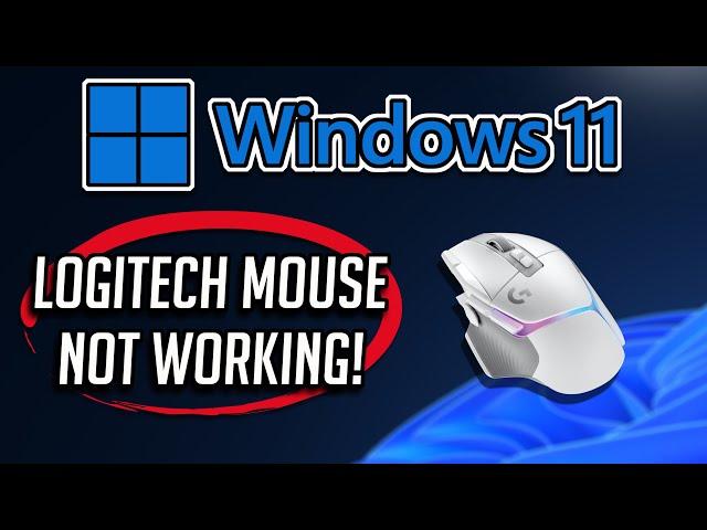 Fix Logitech Wireless Mouse Not Working in Windows 11/10 [Solution]