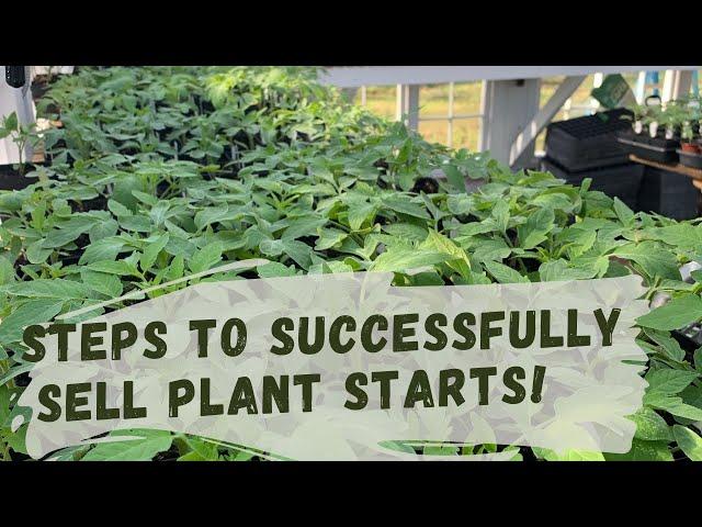 7 steps to take NOW for a SUCCESSFUL PLANT SALE