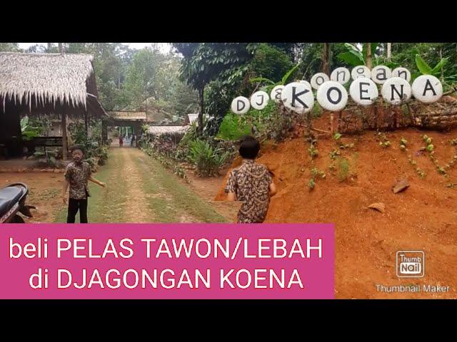 DJAGONGAN KOENA Kejawar Banyumas #PelasTawon# #Dan3Petualang#