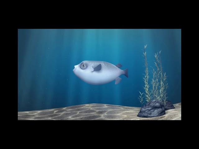 THE STORY OF FUGU |ARTHUR PHILIPPE | 1080p