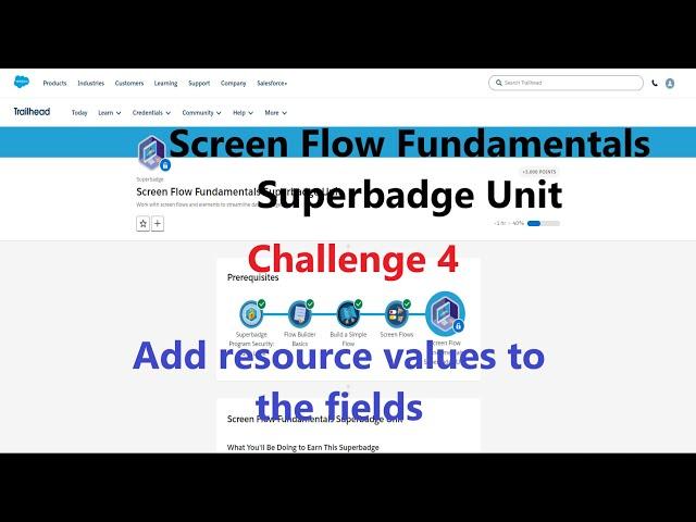 Screen Flow Fundamentals Superbadge Unit || Add resource values to the fields