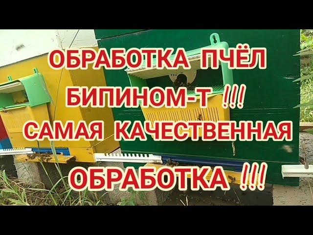 Обработка Пчёл Бипином-Т !!! Самая Качественная Обработка !!!