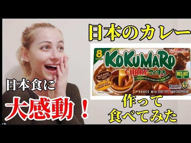 【海外の反応】外国人が日本のカレー作って食したら感激した！