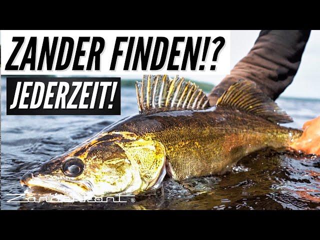 Zander finden in unbekannten Seen