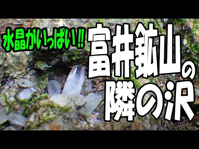 水晶がいっぱい【栃木県 宇都宮市･富井鉱山の隣の沢】誰も知らない？水晶の産地です！