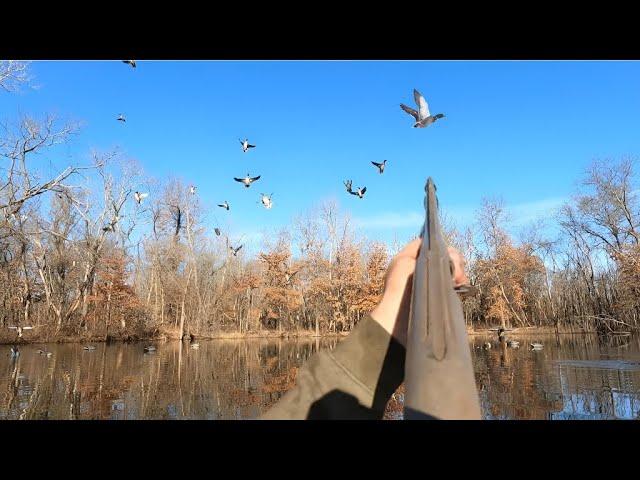 Duck Hunting: Fog, Sunshine, Mallards, and a 7 Bird Rain Out!