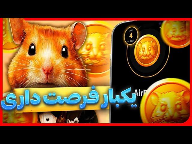 چگونه با توکن های همستر کمبت +999% سود کنیم ؟