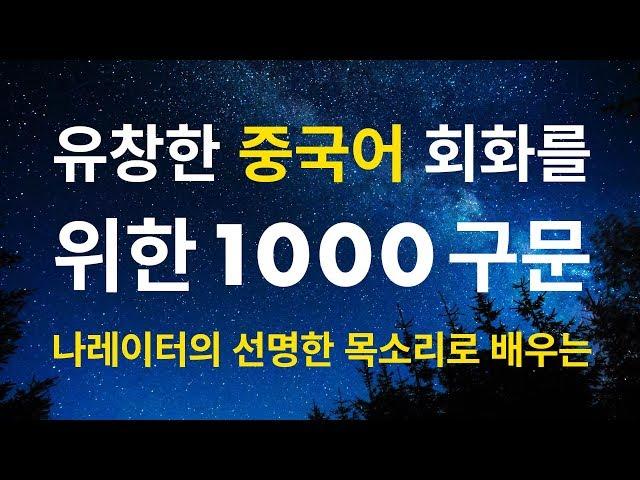 유창한 중국어 대화를 위한 1000구문