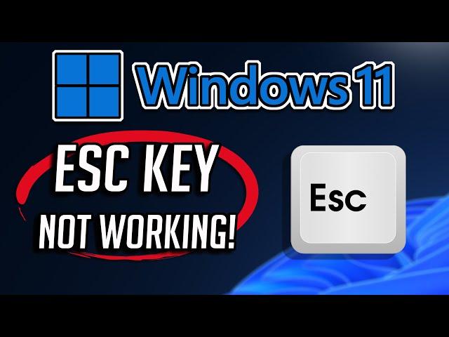 ESC Key Not Working In Windows 11 - [5 FIXES]