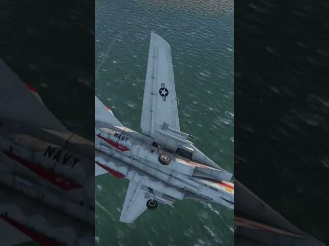 So F-14 Can cobra