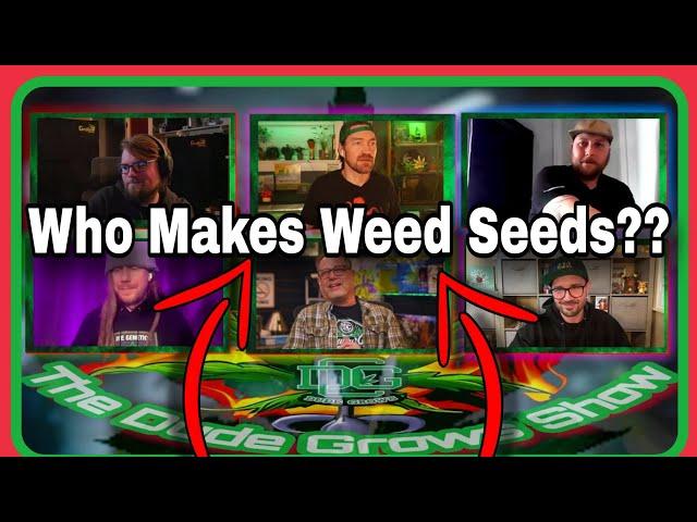 Dudes That Grow Show: Soup, Rasta Jeff, DoYouRight Genetics, Brad from RAW