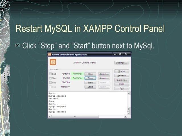 How do I start the Mysql  console in XAMPP....