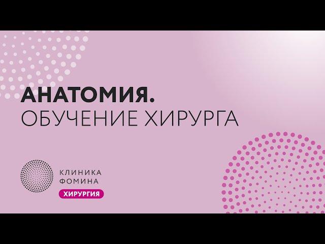 анатомия малого таза: обучение хирурга