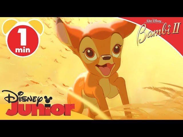 Bambi II | The Dream | Disney Junior UK