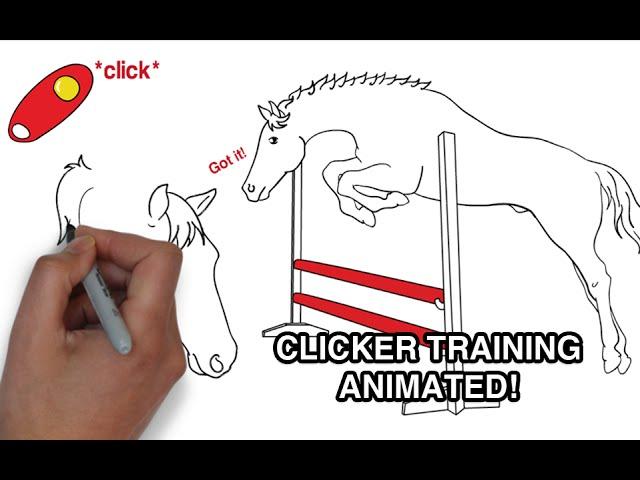 What is positive reinforcement? Clicker training? | Animated Series Episode 1