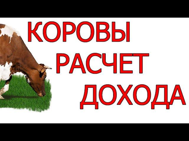 Бизнес на коровах. Расчет прибыли от молока и сыра. Бизнес-план. | Бизнес-идеи