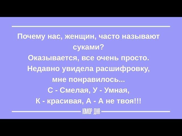 ЖЕНСКИЙ ЮМОР на каждый день ПОДБОРКА 8 ЮМОР ДНЯ