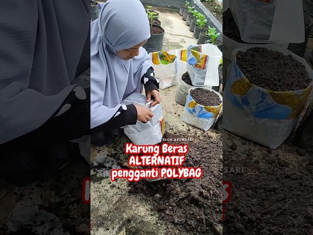 KARUNG BERAS ALTERNATIF PENGGANTI POLYBAG