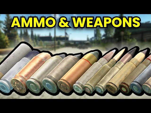 ALL Tarkov Ammo Progression Explained - The Best Weapons & Ammo At Every PMC Level