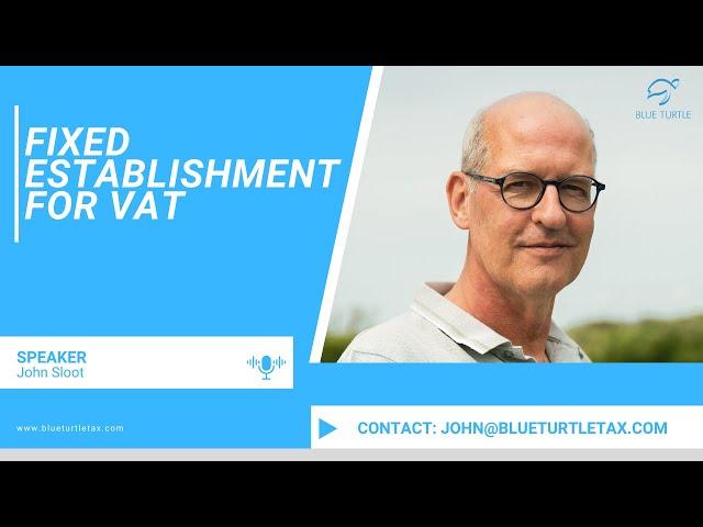 Fixed Establishment for VAT | Insights from Blue Turtle Tax