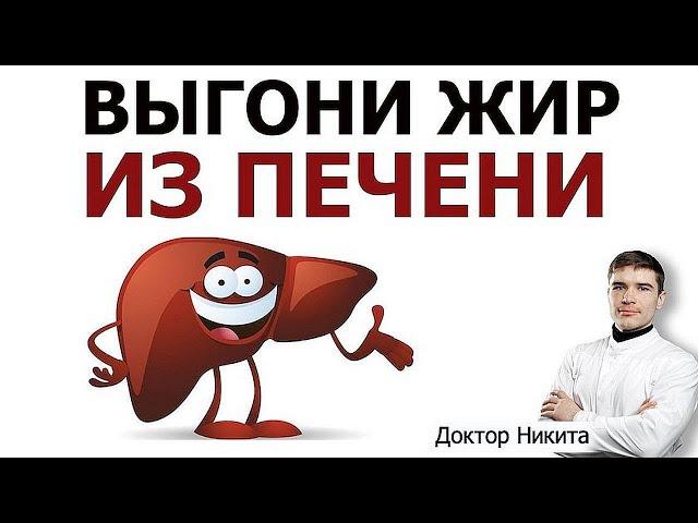 Как убрать жир из печени и вылечить метаболический синдром. Какая диета чистит органы от жира.