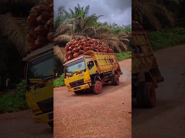 Gini Baru mobil truk oleng,Dj ajojing ala ala ajojing