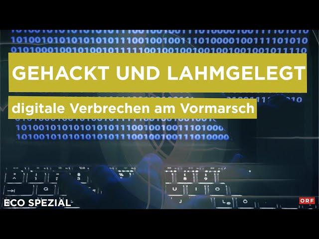 Gehackt und lahmgelegt | ECO Spezial 24.10.2024