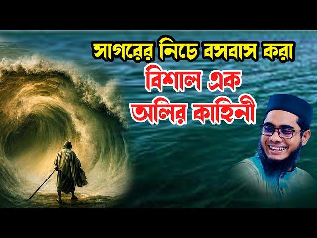 সাগরের নিচে বাস করা এক অলির ঘটনা shahidur rahman mahmudabadi new bangla waz 2024 মাহমুদাবাদী ওয়াজ