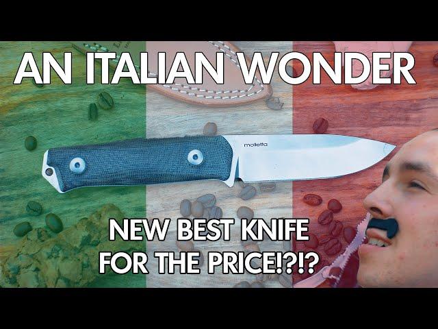 is THIS The NEW Best Knife for The Price!? | Lionsteel B41