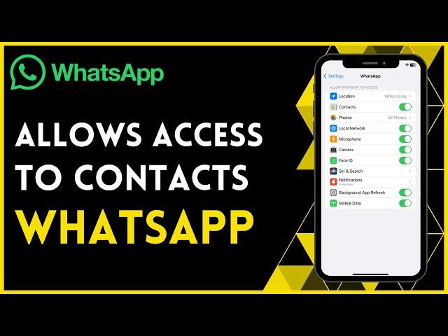 How to Allow WhatsApp to Access Contacts in iPhone (2023)