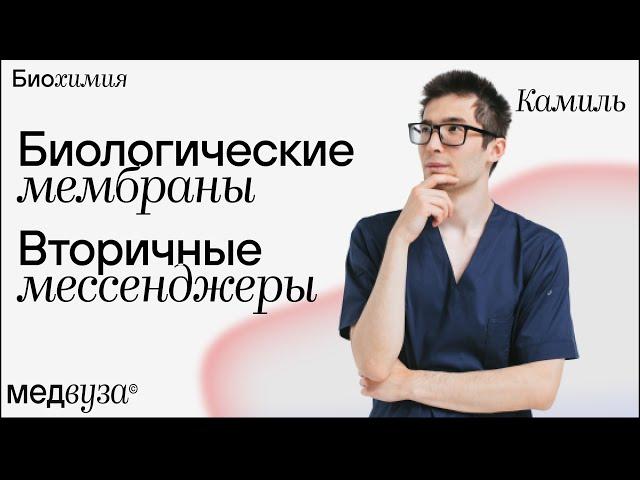 Биологические мембраны и вторичные менеджеры | Биохимия