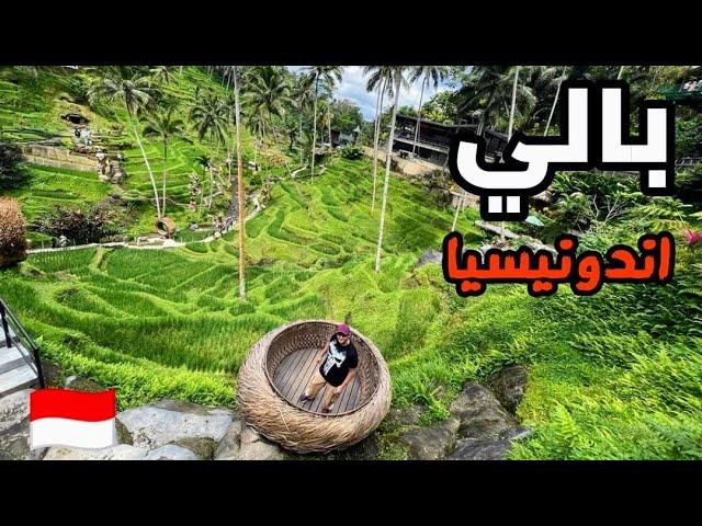 بالي اندونيسيا / اكتشاف اوبود و غابة القردة و افضل المنتجعات / الحلقة الأولى