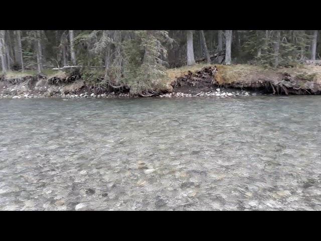 Spray River, Banff