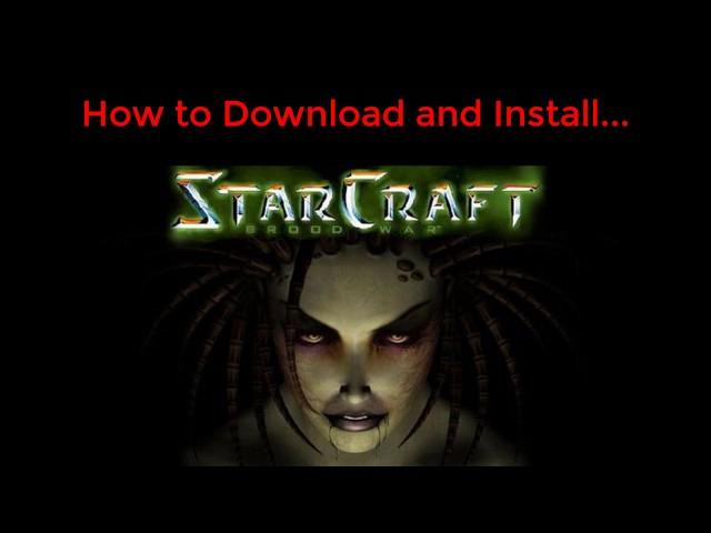 How to Download and Install StarCraft 1 + BroodWar for Free